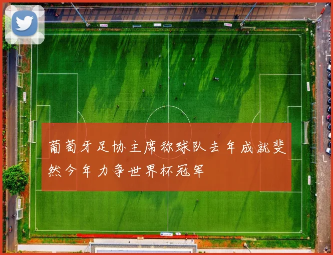 葡萄牙足协主席称球队去年成就斐然今年力争世界杯冠军