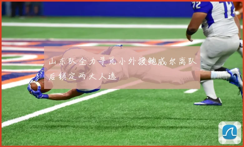 山东队全力寻觅小外援鲍威尔离队后锁定两大人选