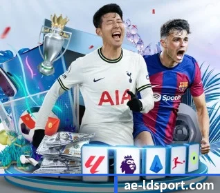 我们在做什么（LDSPORTS）